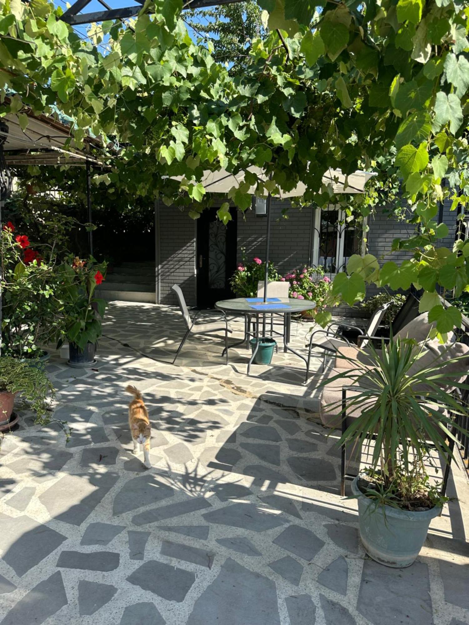 Apartment Lui Tbilisi Eksteriør bilde